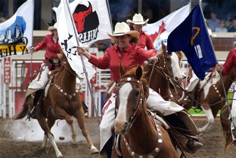 trampede calgary video|The Calgary Stampede